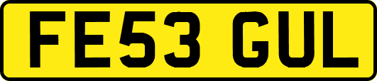 FE53GUL