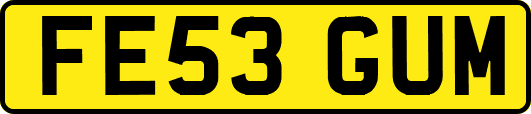 FE53GUM