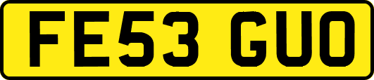 FE53GUO