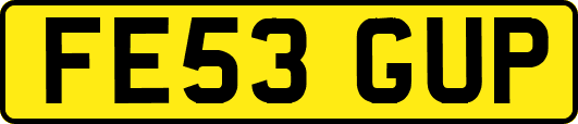 FE53GUP