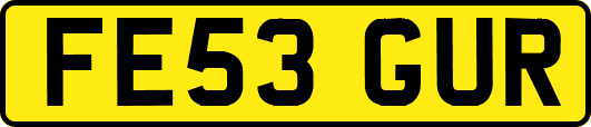 FE53GUR