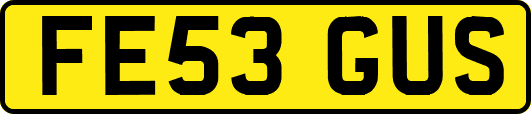 FE53GUS
