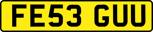 FE53GUU