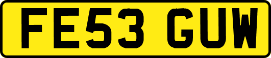 FE53GUW