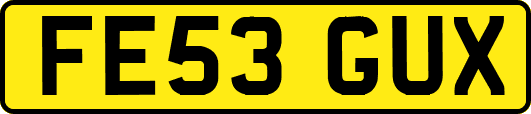 FE53GUX