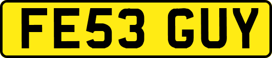 FE53GUY