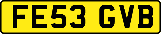 FE53GVB