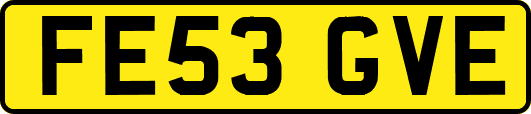 FE53GVE