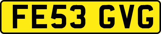 FE53GVG