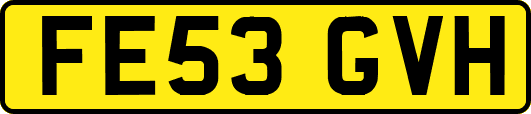 FE53GVH