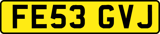 FE53GVJ