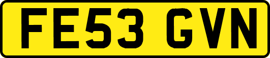 FE53GVN