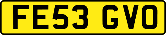 FE53GVO
