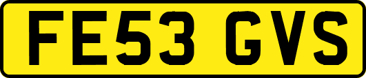 FE53GVS