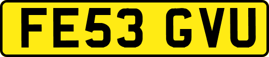 FE53GVU