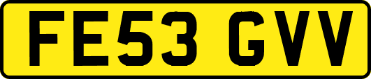 FE53GVV