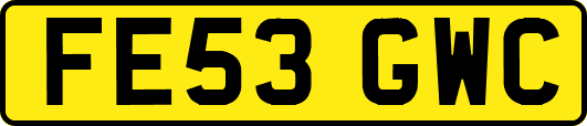 FE53GWC