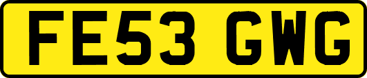FE53GWG