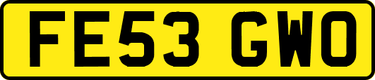 FE53GWO
