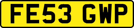 FE53GWP