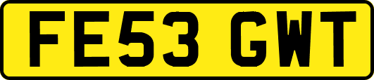 FE53GWT