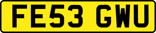 FE53GWU