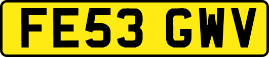 FE53GWV