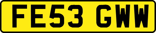 FE53GWW