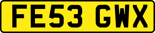 FE53GWX