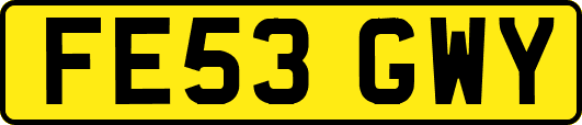 FE53GWY