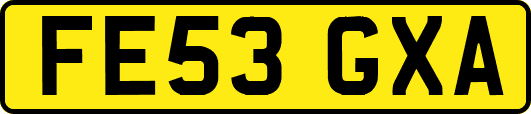 FE53GXA