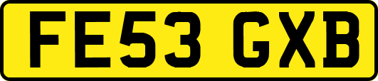 FE53GXB