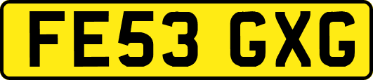 FE53GXG
