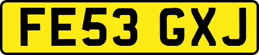 FE53GXJ