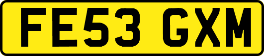 FE53GXM