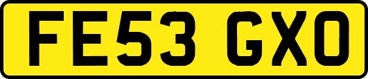 FE53GXO