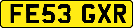 FE53GXR