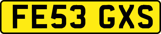 FE53GXS