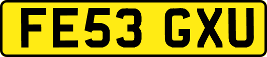FE53GXU