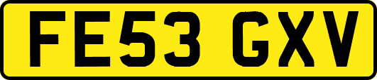 FE53GXV