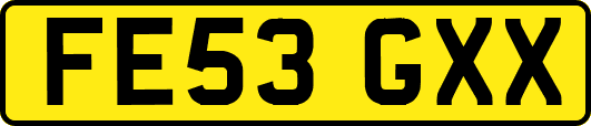 FE53GXX