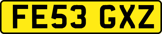 FE53GXZ