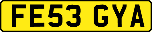 FE53GYA