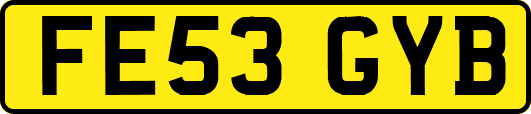 FE53GYB