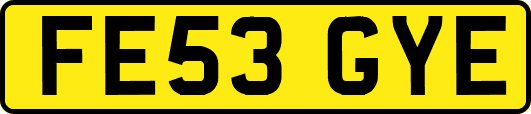 FE53GYE