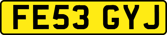 FE53GYJ