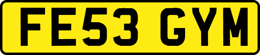 FE53GYM