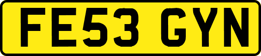 FE53GYN