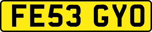 FE53GYO