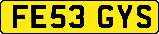 FE53GYS